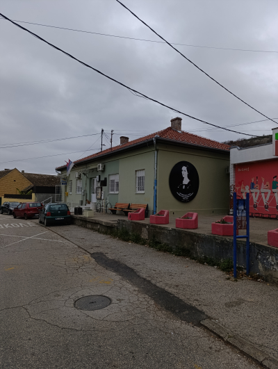 Portret Miliceica Stojadinović Srpkinje